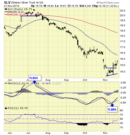 silver shares trust 21-nov-2014