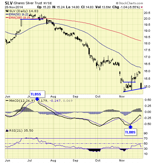 silver shares trust 28-nov-2014