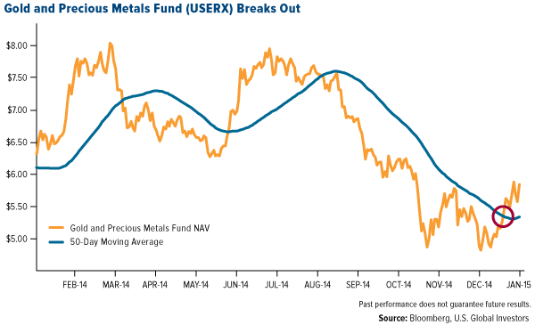 gold and precious metals fund