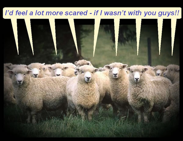 Sheeples