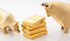 gold bars and pigs