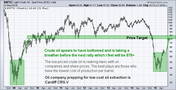 light crude spot price